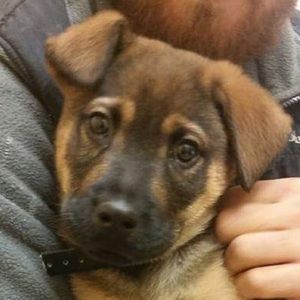 Meet your Posher, Jessica